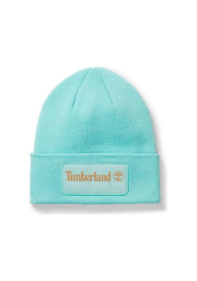 Timberland Established 1973 Erkek Bere - Tb0a2ptdeb91-118 Renkli