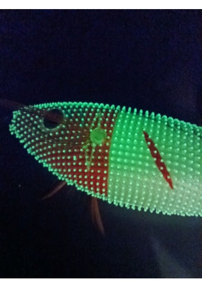 Captain 3028 Toto Zogga 8 Cm Renk: 14 Deri Kaplama Glow Kalamar Zokası