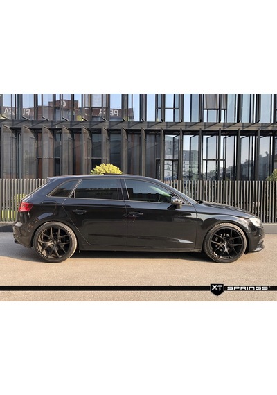 Audi A3 8V Sportback-Sedan 1.6 Tdi Xt Spor Yay -40Mm