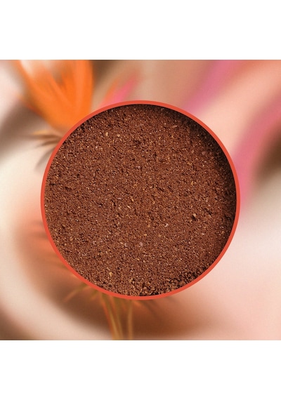 Mim And More Coconut Coffee Hindistan Cevizi Aromalı Kahve Filtre Kahve 200 G