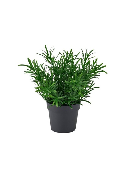 Ikea Fejka Yapay Bitki, Yeşil, 9 Cm, İç/dış Mekan Biberiye