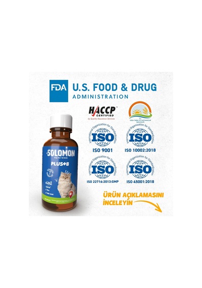 Plus+b Kediler İçin Tüy Dökümünü Azaltan Besleyen Tüy Döküm Önleyici Multivitamin Damla
