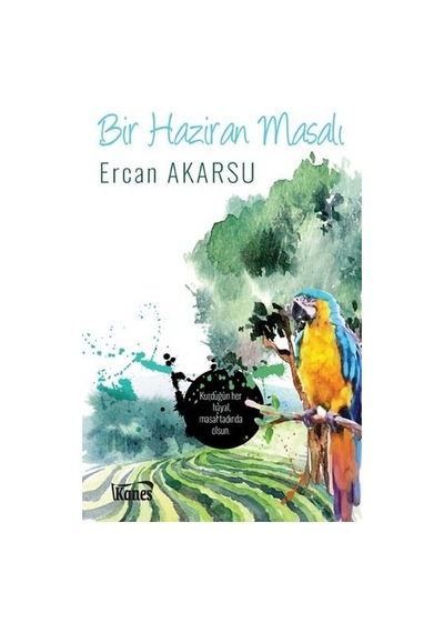 Bir Haziran Masalı - Ercan Akarsu - Kanes Yayınları