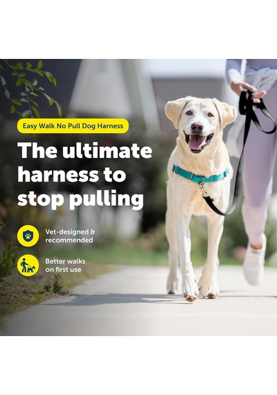 Easy Walk No-pull Köpek Göğüs Tasması, Çekmeyi Önlemeye Yardımcı, Kontrolü Ele Alın Ve Tasmayla Daha İyi Yürümeyi Öğretin, Large, Sarımsı Turkuaz/gri