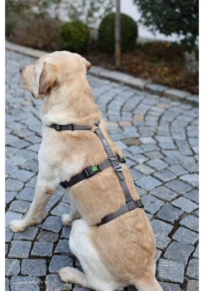 Kerbl Köpek Sırt Tasması Kaçış Önleyici 64 x 100 CM Gri