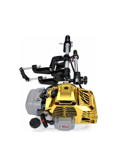Roys Gold Renk Pro Tekne Ve Bot Motoru 2 Zamanlı