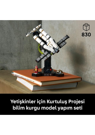 Icons Kurtuluş Projesi 11389