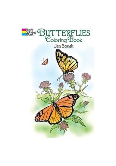 Butterflies Coloring Book