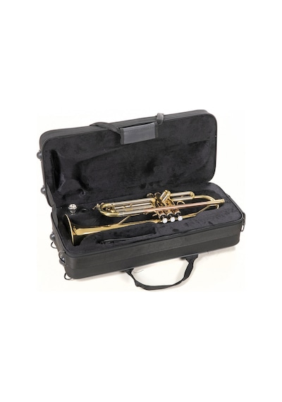 Roy Benson Tr-202 Trompet Sarı Pirinç Standart Bb Trompet