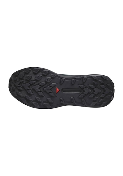 Salomon Genesıs Gtx Erkek Patika Koşusu Ayakkabısı 28573 Siyah