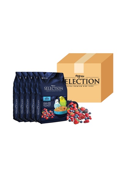 Myyem Selection Gerçek Meyve Parçalı Muhabbet Yemi 1kg 5 Li Pak