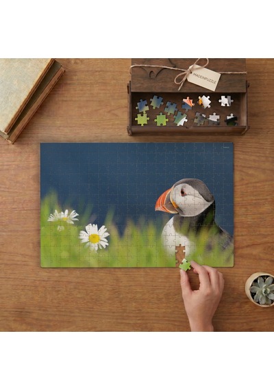 Doğada Papağan Tasarımı 240 Parça Ahşap Puzzle Ahşap Kutuda Mpy60003