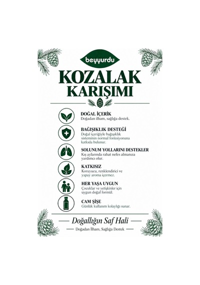 Zencefilli Propolisli Kozalak Şurubu Beyyurdu Doğal İçerikli Bitkisel Karışım