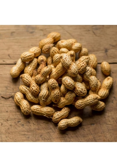 Kabuklu Sade Kavrulmuş Yer Fıstığı 1 Kg 1 KG