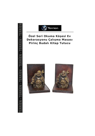 Özel Seri Okuma Köşesi Ev Dekorasyonu Çalışma Masası Pirinç Budalı Kitap Tutucu