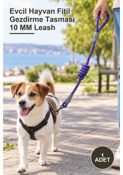 1 Adet Evcil Hayvan Fitil Gezdirme Tasması 10 Mm Leash Diğer