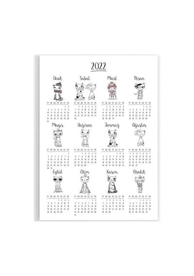 Kedili Poster Takvim, 2027 Kedili Duvar Takvimi