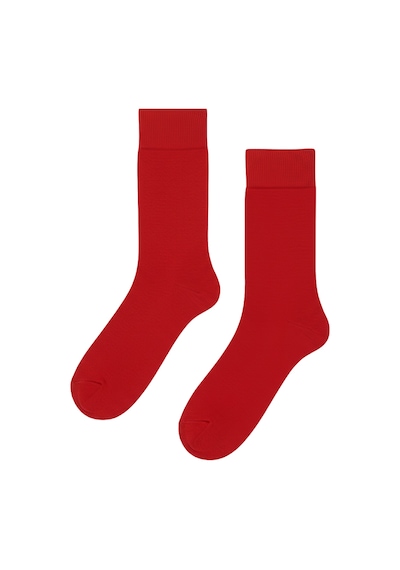 Carnaval Socks Kırmızı Renkli Pastel Tasarım Çorap Çok Renkli