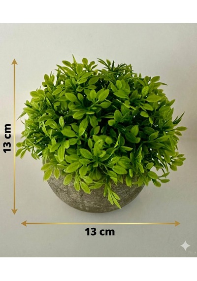 Yapay Şimşir Boxwood Çiçeği Antrasit Modern Saksılı Premium Ev Ofis Dekoru Yeşil