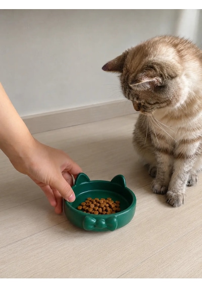 Papyon Model Beton Kedi Köpek Mama Ve Su Kabı 16 Cm Çap - Yeşil
