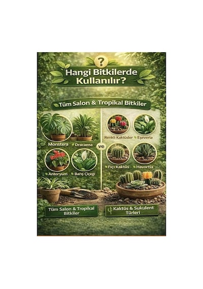 Bitki Ve Kaktüs Toprağı Seti 10 L Organik Cocopeatli Salon Bitkileri Ve Kaktüsler Için