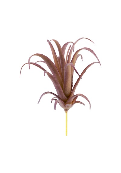 Yapay Tüylü Tillandsia Sukulent Lila 17 Cm-10912