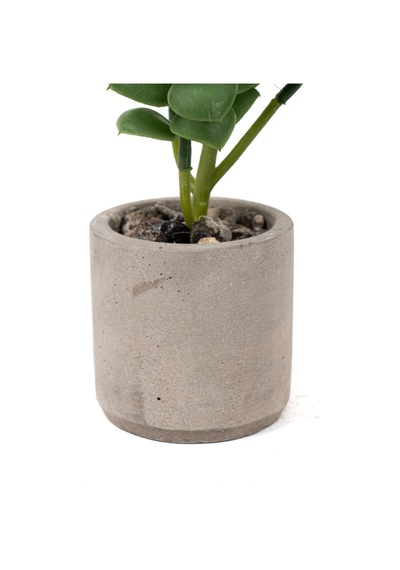 Yapay Çiçekçiniz Beton Saksıda Yapay Kaktüs Diğer