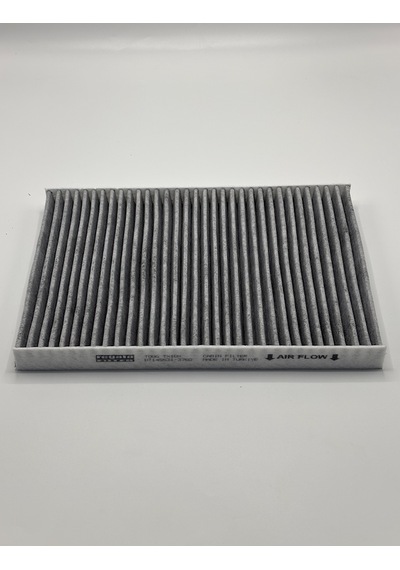 Regato Filter Togg T10f Karbon Kabin/polen Filtresi
