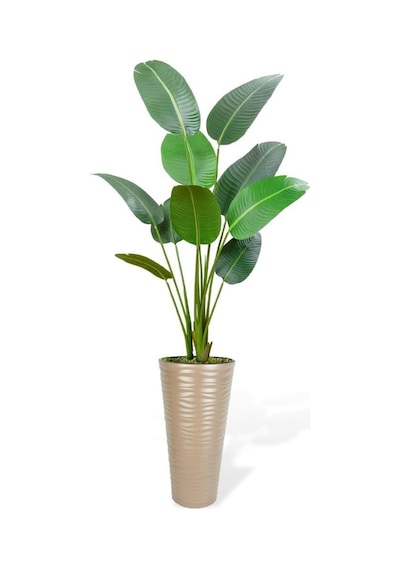 Yapay Ağacı Dore 57cm Uzun Kumsal Vazoda Muz Ağacı Yapay Starliçe 195cm 10 Yaprak