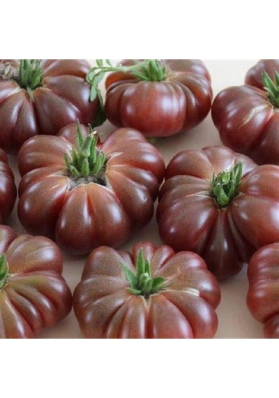 Tropikmarket Calabash Domates Tohumu 15 Tohum