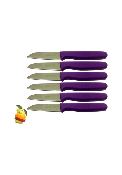 Sürbisa 61007 Meyve Bıçağı 7.5 CM Mor 6'lı