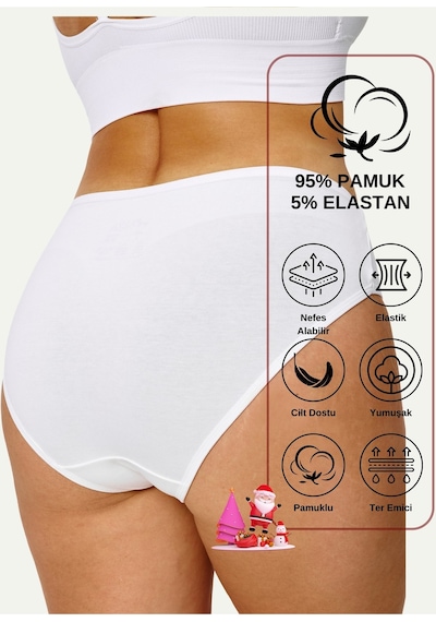 Alya Underwear Kadın Külot Basic Slip Renkli Pamuklu Iç Çamaşırı 10'lu Paket Multicolor-x32 Multicolor - X40
