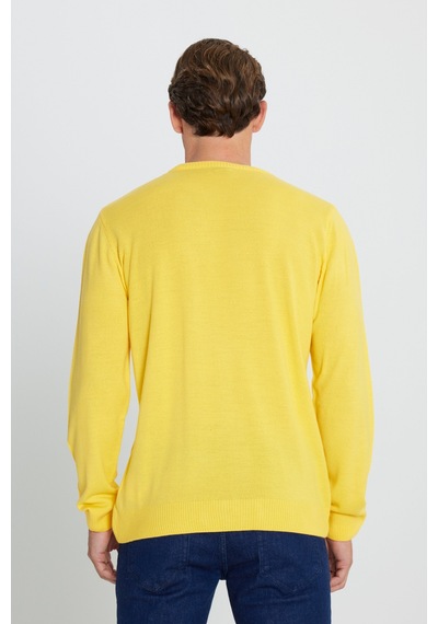 AC&Co / Altınyıldız Classics Erkek Sarı Standart Fit Normal Kesim Bisiklet Yaka Triko Sarı AC&Co / Altınyıldız Classics Erkek Sarı Standart Fit Normal Kesim Bisiklet Yaka Triko Sarı