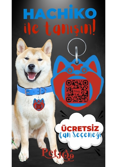 Petjoo 19.Hachiko Kırmızı-Mavi Qr'lı Köpek Künyesi