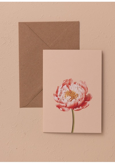 The Mia Art Line Mini Tebrik Kart Seti Peonie 10 X 14 Cm