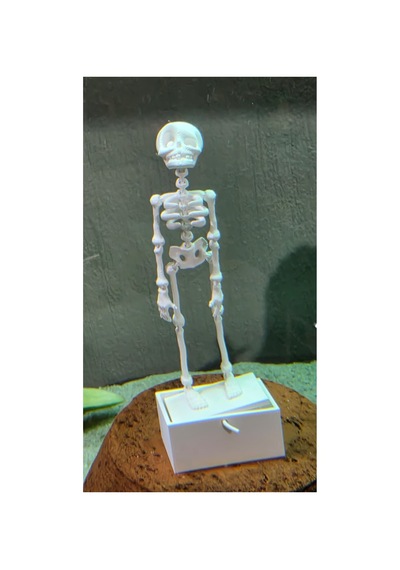 14 Cm Dans Eden İskelet Akvaryum