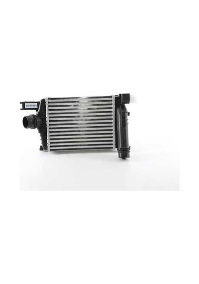 Bsg Turbo Radyatoru Intercooler 257 X 216 X 64 - Clıo Iv/captur/dokker/duster/logan Iı Mcvclıo Iv/captur/dokker/duster/logan Iı Mcv 2010-