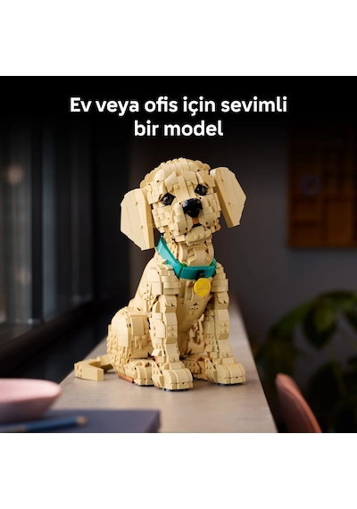 LEGO® Icons Yavru Golden Retriever 11384 - Yetişkinler için Dekoratif Hayvan Figürü Yapım Seti (2102 Parça)
