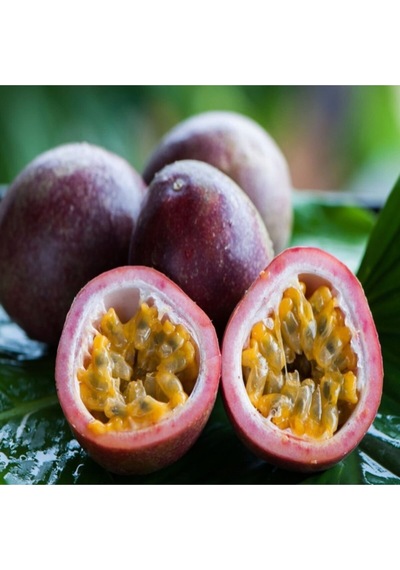 Mor Meyveli Passiflora Passion Fruit Çarkıfelek Tohumu-7 Adet