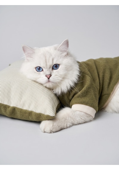 Natura Cozy Pati & Yastık Nefti Yeşil Polar Kedi Sweatshirt Ve Mini Yastık 2 Parça