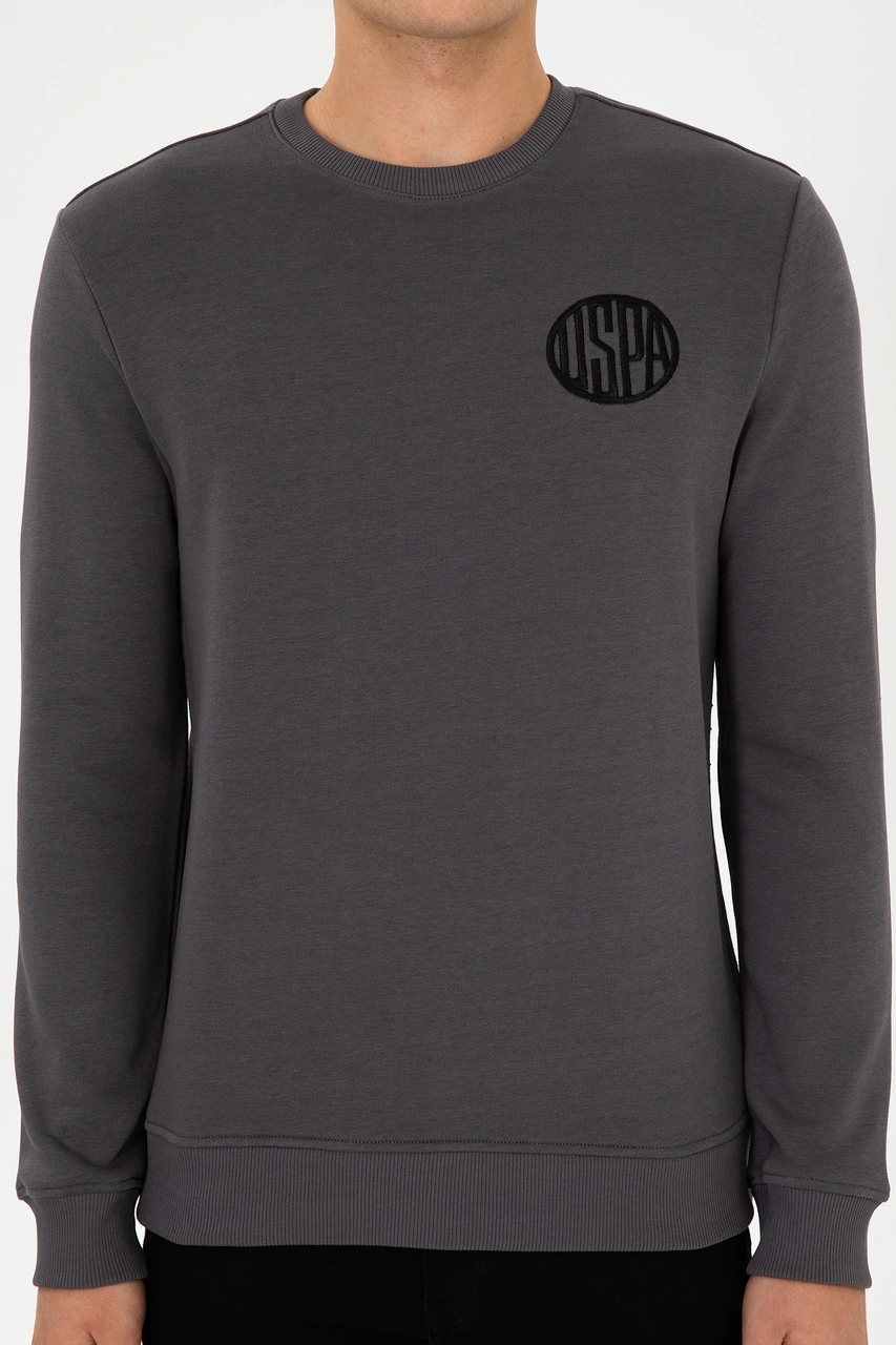 U.S. Polo Assn. Erkek Regular Fit Bisiklet Yaka Gri Sweatshirt 50308717-VR024
