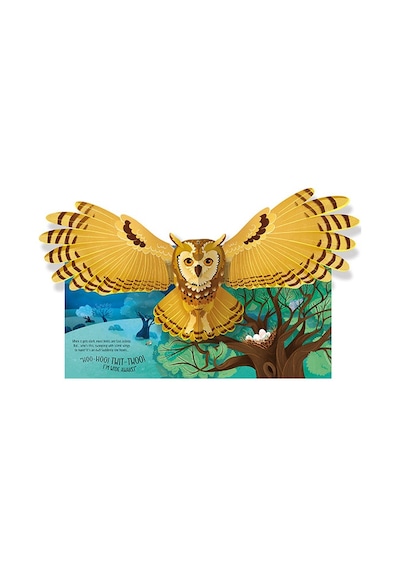 Pop-Up Birds - Laura Cowan - Usborne