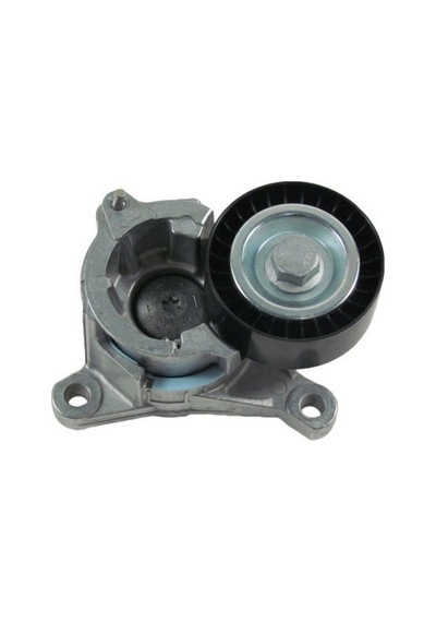 Peugeot Citroen Alternatör Gergi Rulmanı 5751.h6
