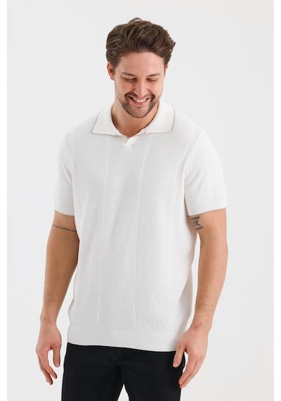 Alexander Gardi Alexandergardı Çizgili Polo Yaka Regular Fit T-shırt E24-eze-32 001