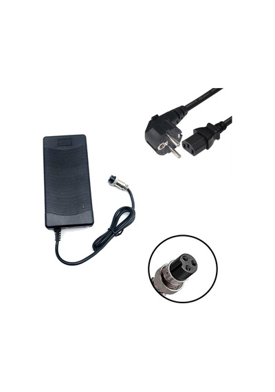 S Line 36v 2a 3-pin Scooter Şarj Adaptörü