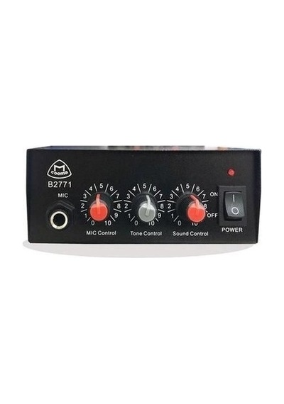 Pazarcı Anfisi Aux'lu 40watt Bolsat