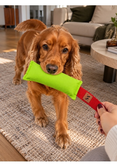 Köpek Çekiştirme Oyuncağı Tug Toy Eğitim Oyuncağı