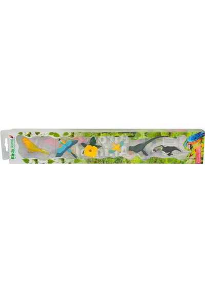 Kuşların Dünyası - On Çeşit Mini Kuş