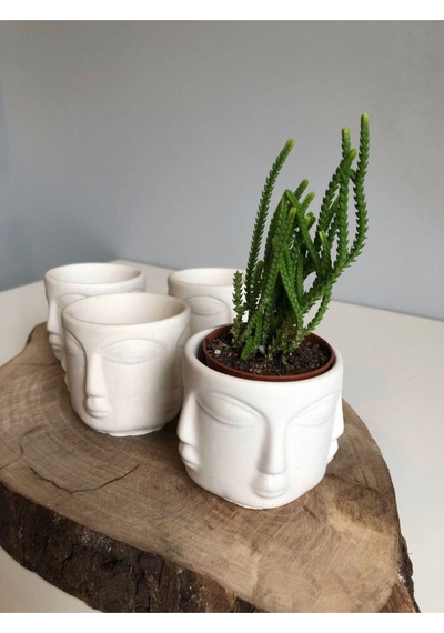 Bernami Mumluk Şamdanpinterest 4 Lü Beton Adler Saksı Beyaz Obje Ev Dekoratif Objesi Diğer