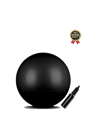 Premium Mini Gymball 20cm Jimnastik Denge Fitness Spor Şişirme Pompası Siyah Pilates Topu